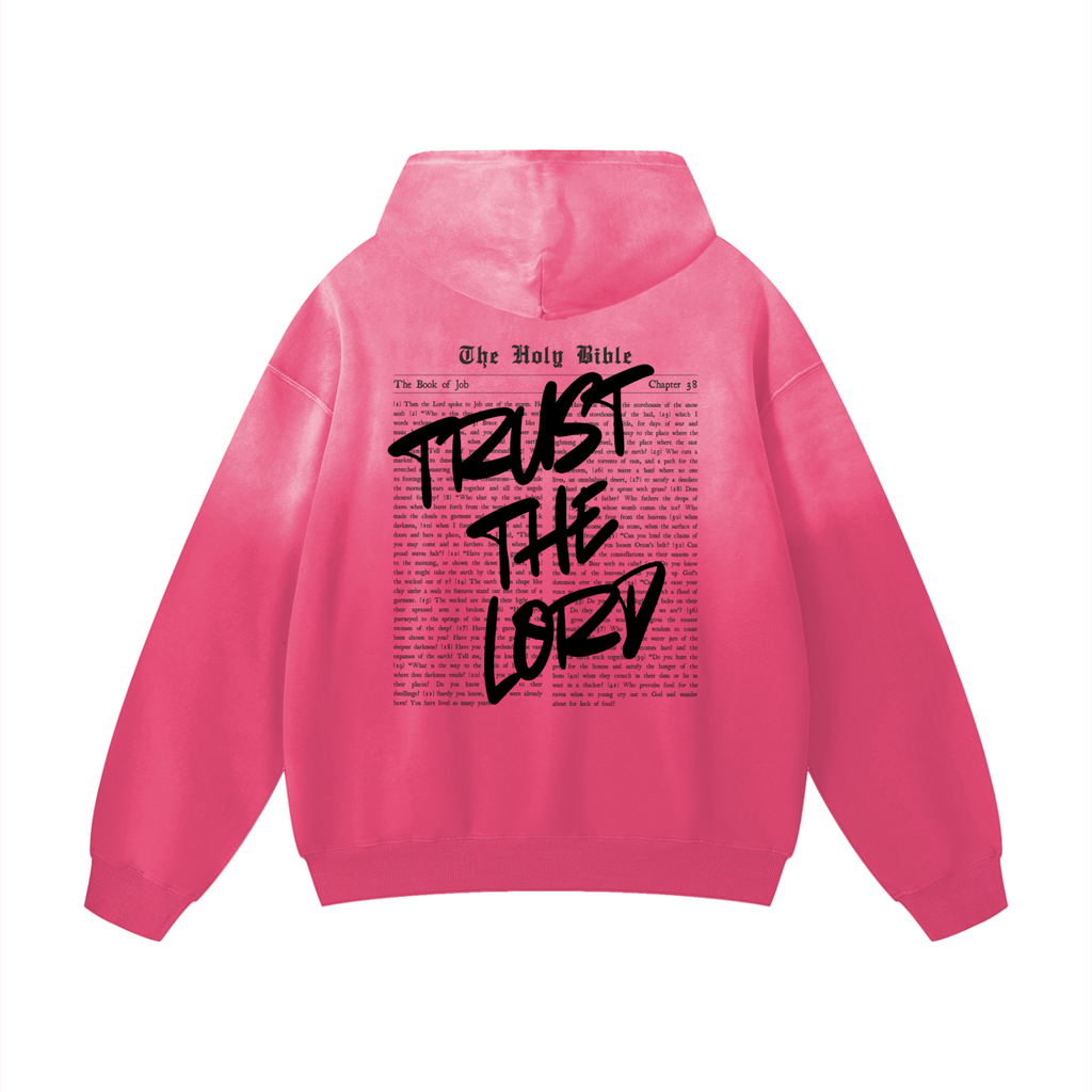 Trust the Lord Sunwashed Hoodie in Pink